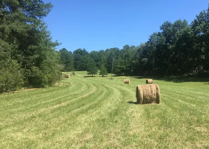 Nyaraló Théveny, Le Levant